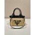 Prada  tote woven bag 1BG501 small size  21Hight 16xbottom10cm 2025 New